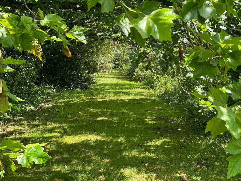 St. Helens, Isle of Wight - Image 18