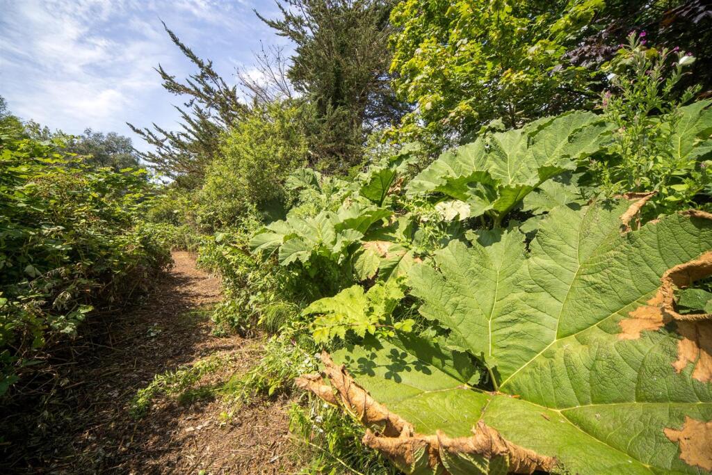 St. Helens, Isle of Wight - Image 48