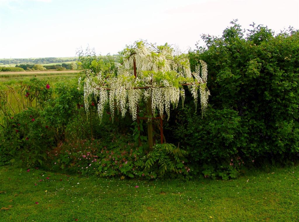 St. Helens, Isle of Wight - Image 66