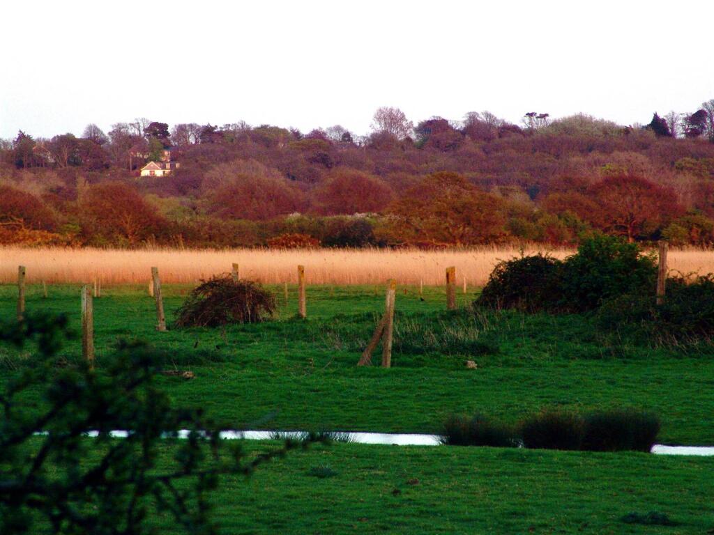 St. Helens, Isle of Wight - Image 70