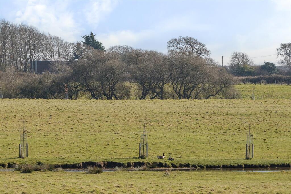 Cowes Lane, Hook Park, Warsash - Image 13