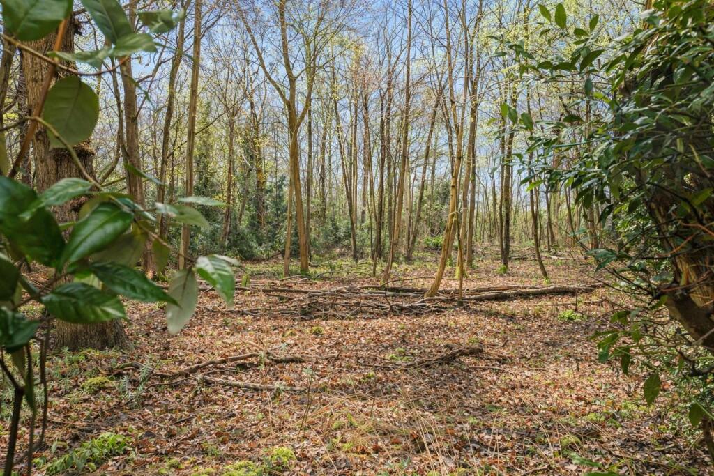 High Road, Essendon - Image 27