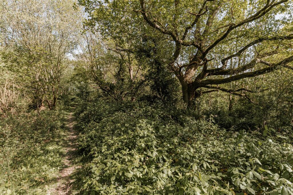 Blean Hill, Blean, Canterbury - Image 45