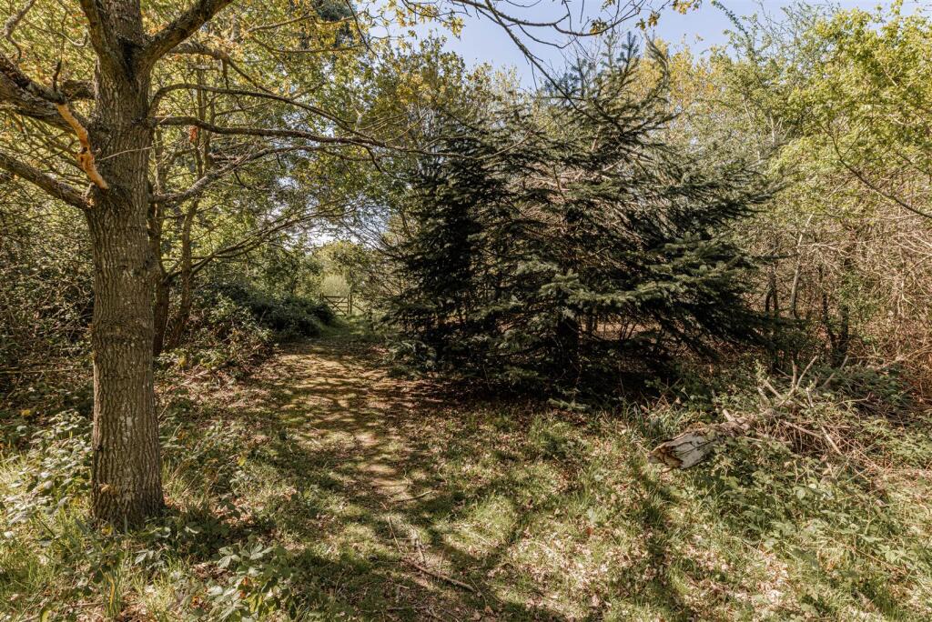 Blean Hill, Blean, Canterbury - Image 46