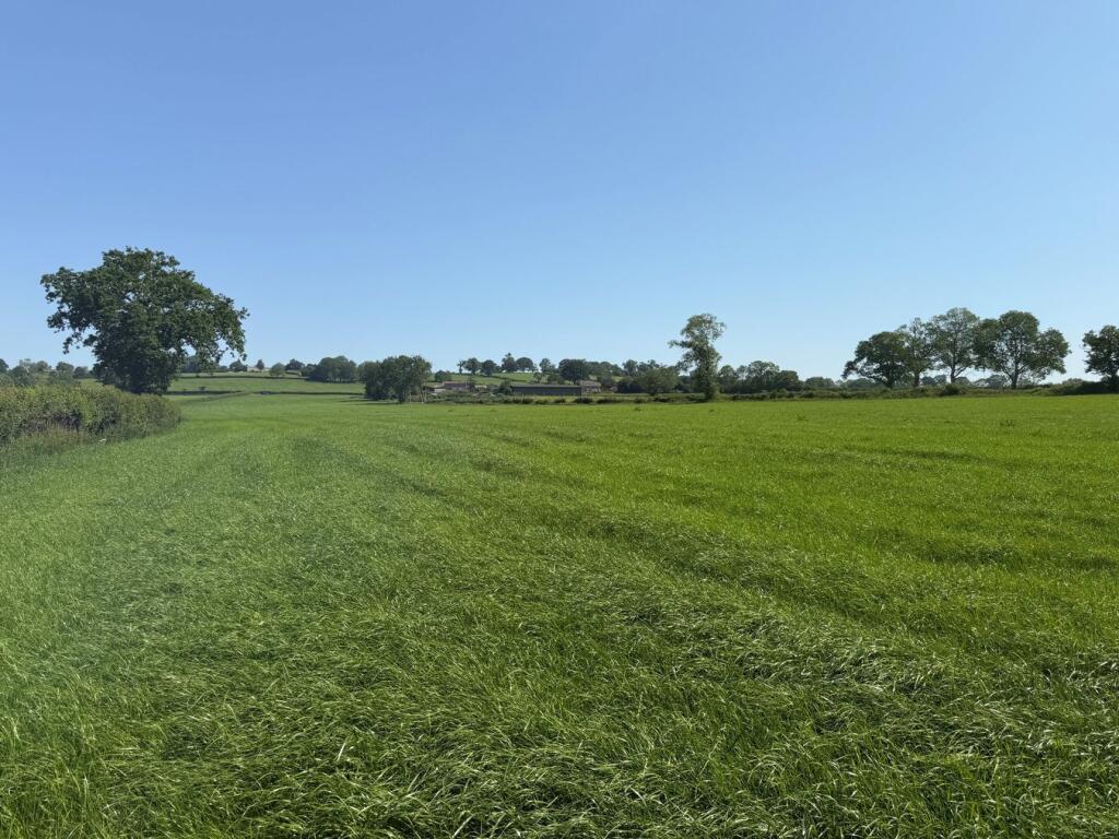Withial, East Pennard, BA4 - Image 6