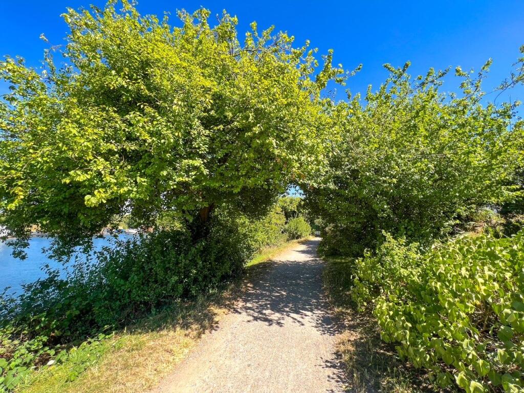 Glebelands, West Molesey, KT8 - Image 27